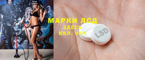 гашик Богданович