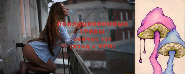 гашик Богданович