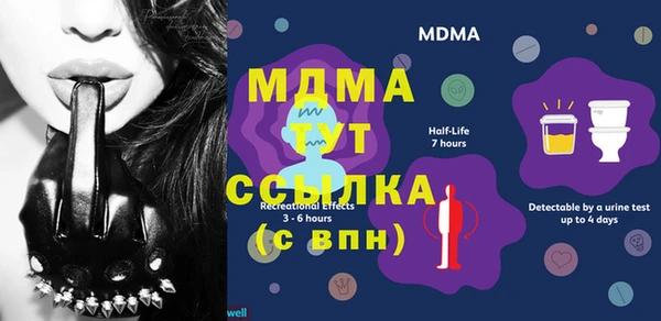 гашик Богданович