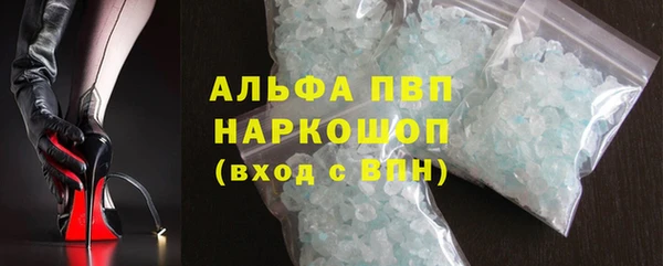 гашик Богданович