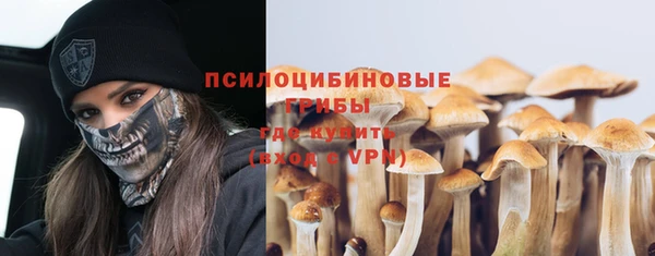 стаф Богородск