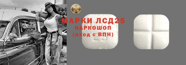 гашик Богданович