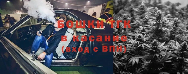 мдпв Богородицк