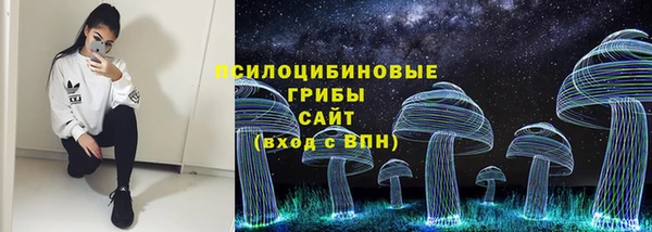 мдпв Богородицк