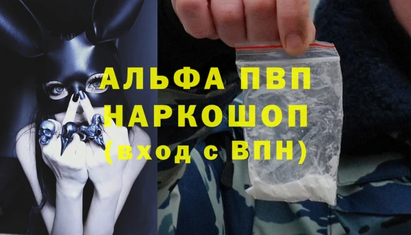 гашик Богданович
