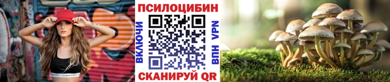 Галлюциногенные грибы Cubensis  Сольвычегодск 